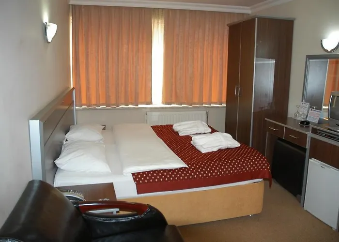 Grand Lion Hotel Estambul